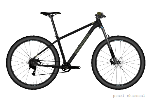 AXC COMP PEARL CHARCOAL